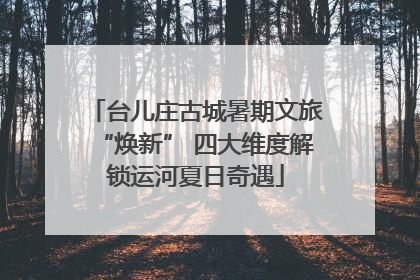 台儿庄古城暑期文旅“焕新” 四大维度解锁运河夏日奇遇